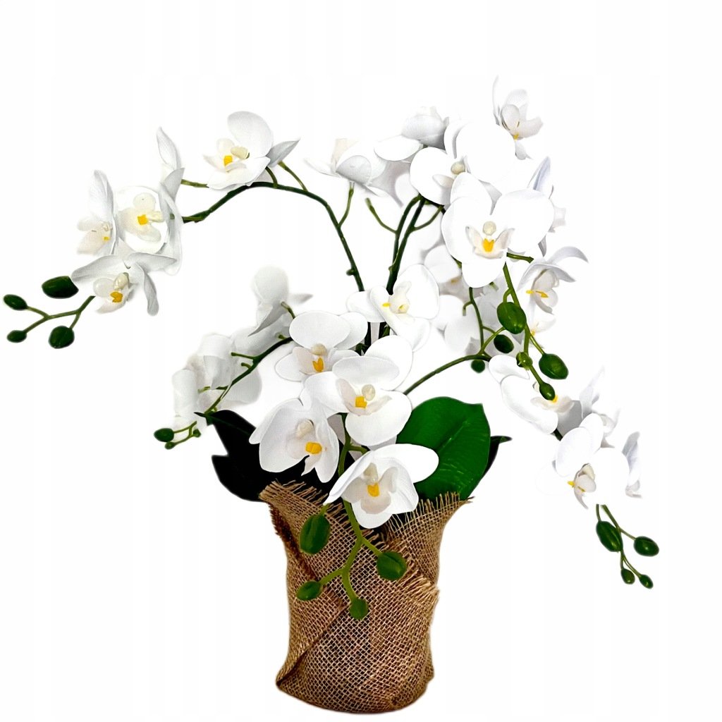 Dirbtinė balta orchidėja vazone, 42 cm – Be prekės ženklo