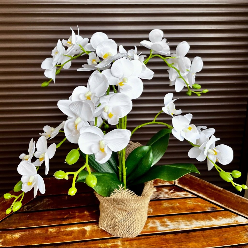 Dirbtinė balta orchidėja vazone, 42 cm – Be prekės ženklo – vaizdas 2