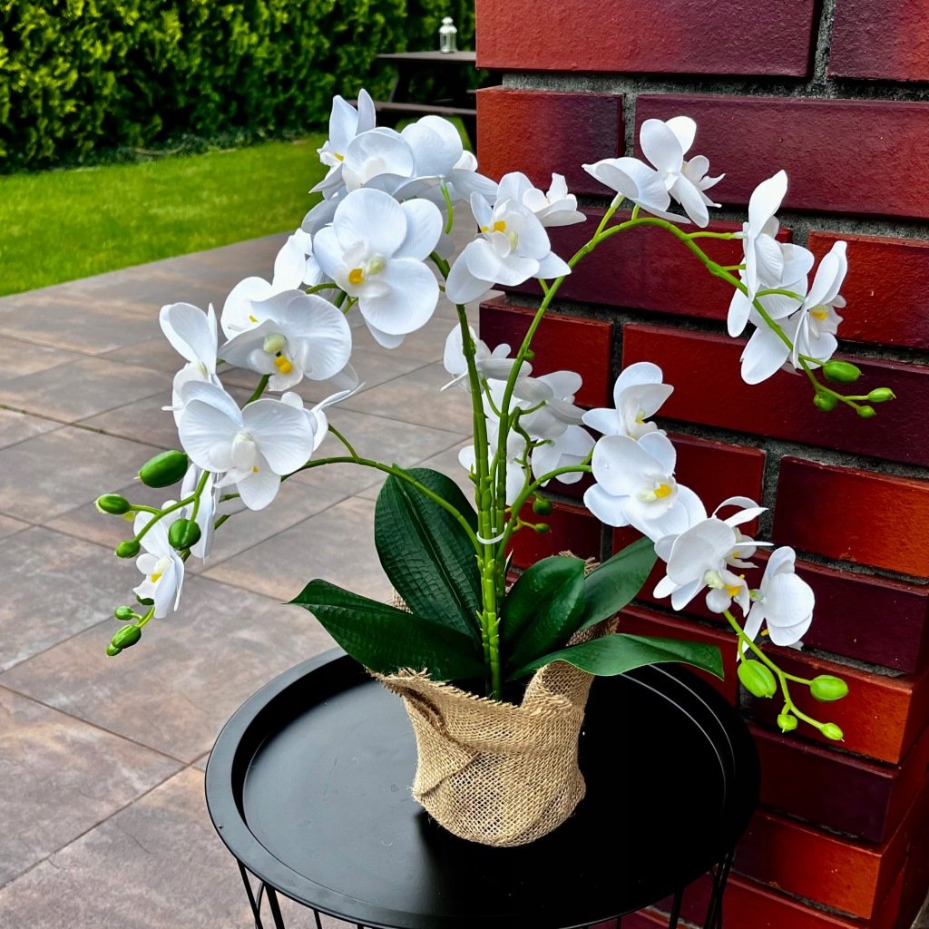 Dirbtinė balta orchidėja vazone, 42 cm – Be prekės ženklo – vaizdas 3