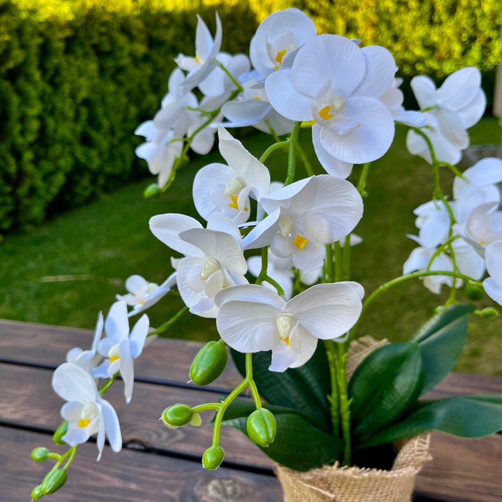 Dirbtinė balta orchidėja vazone, 42 cm – Be prekės ženklo – vaizdas 4